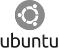 Operating System